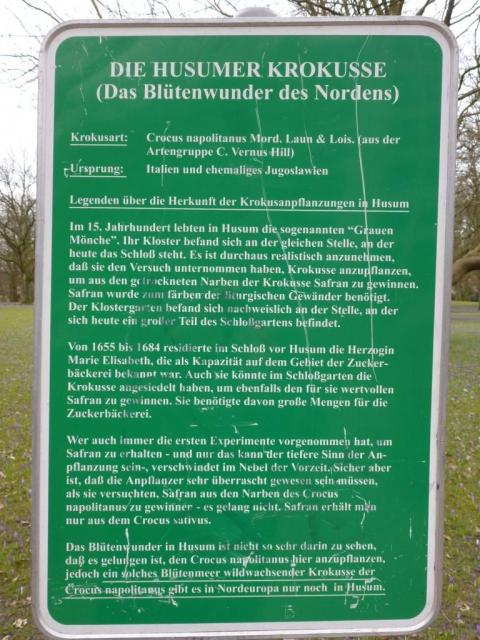 Bild-Thumbnail